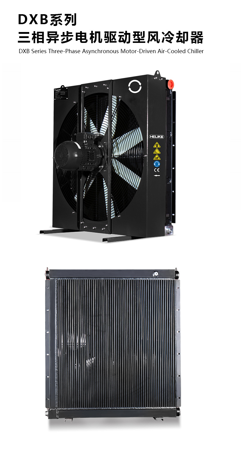 1770101511105506.jpg DXB.jpg