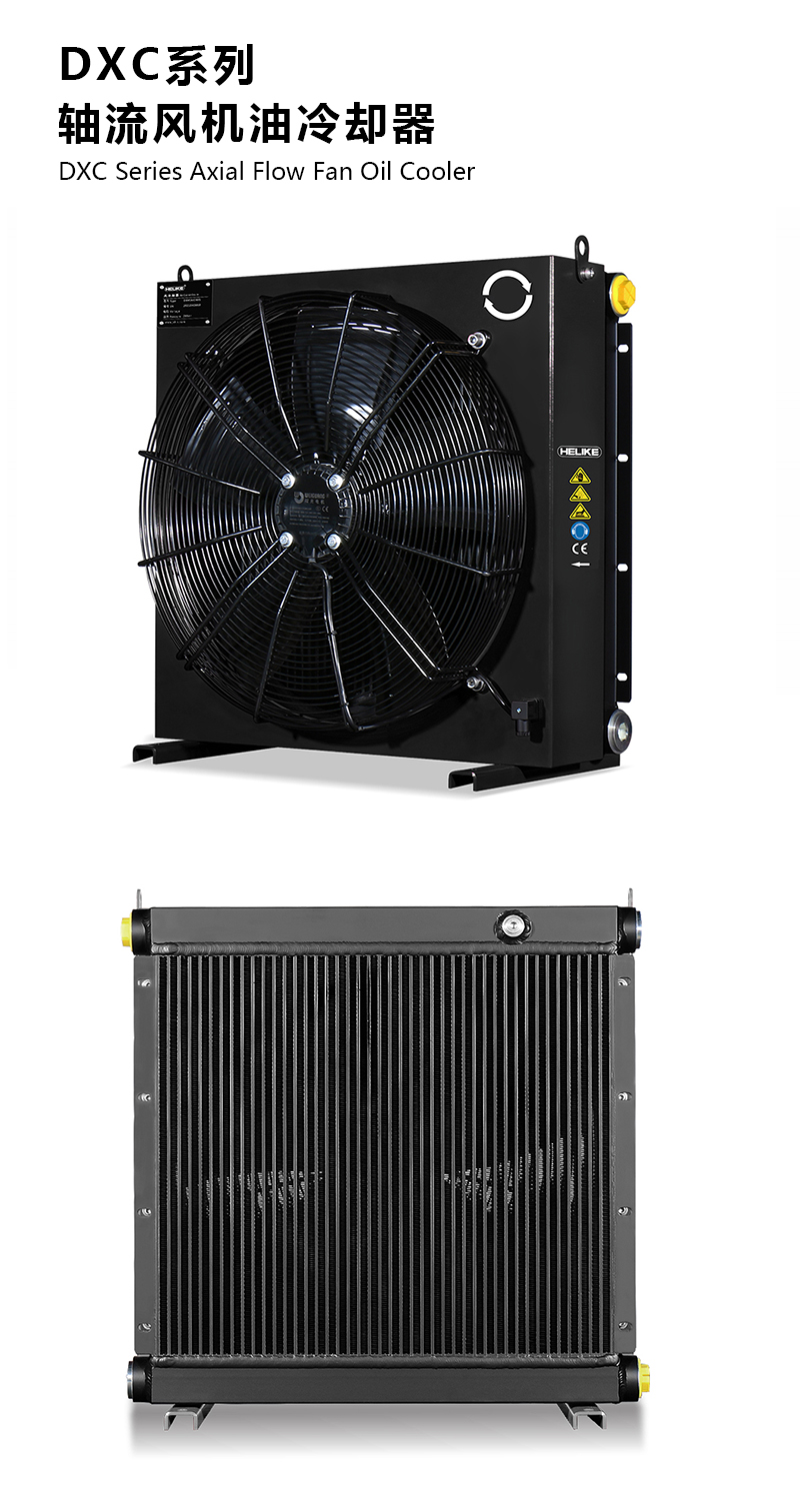 1770101856965254.jpg DXC.jpg