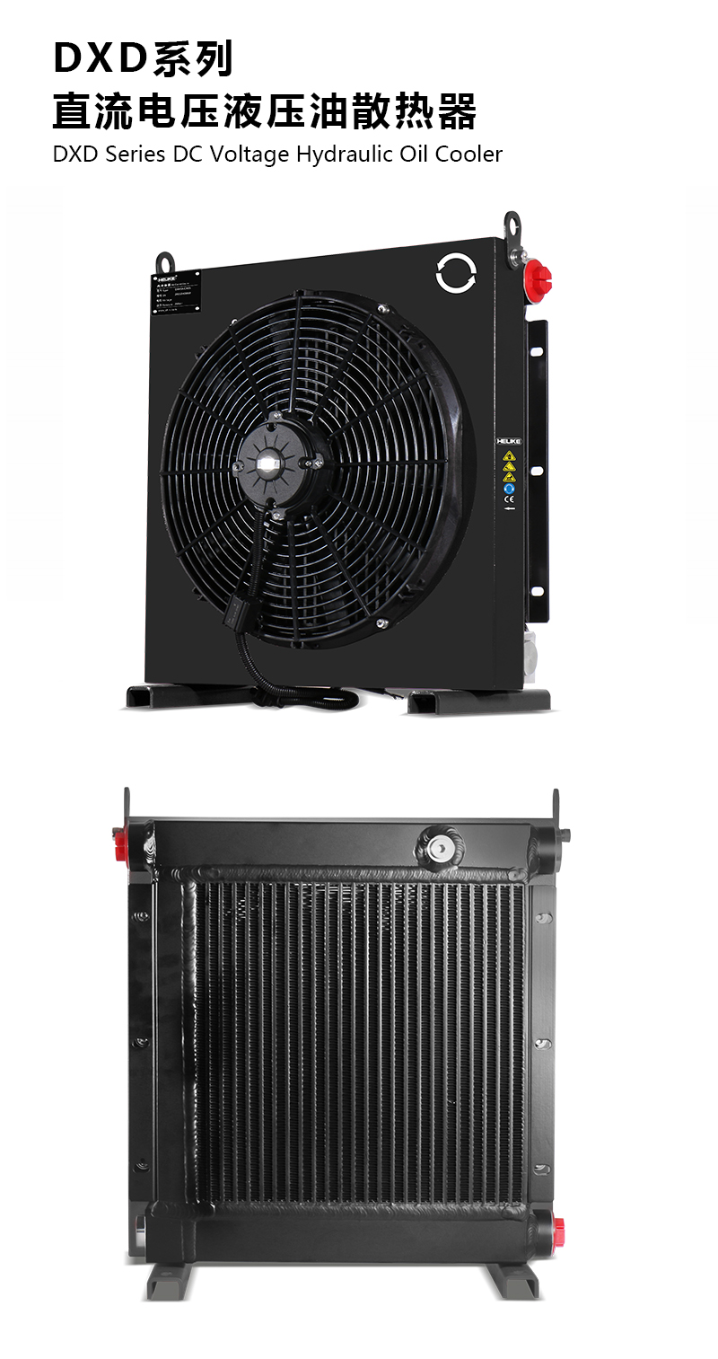 1770101976352225.jpg DXD.jpg