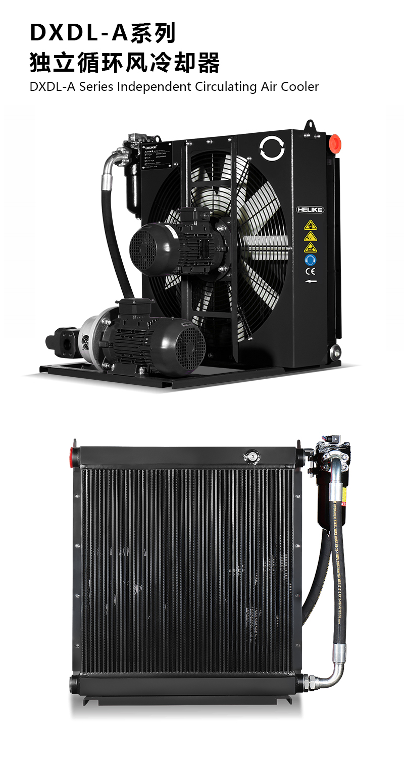 1770102276168692.jpg DXDLA.jpg