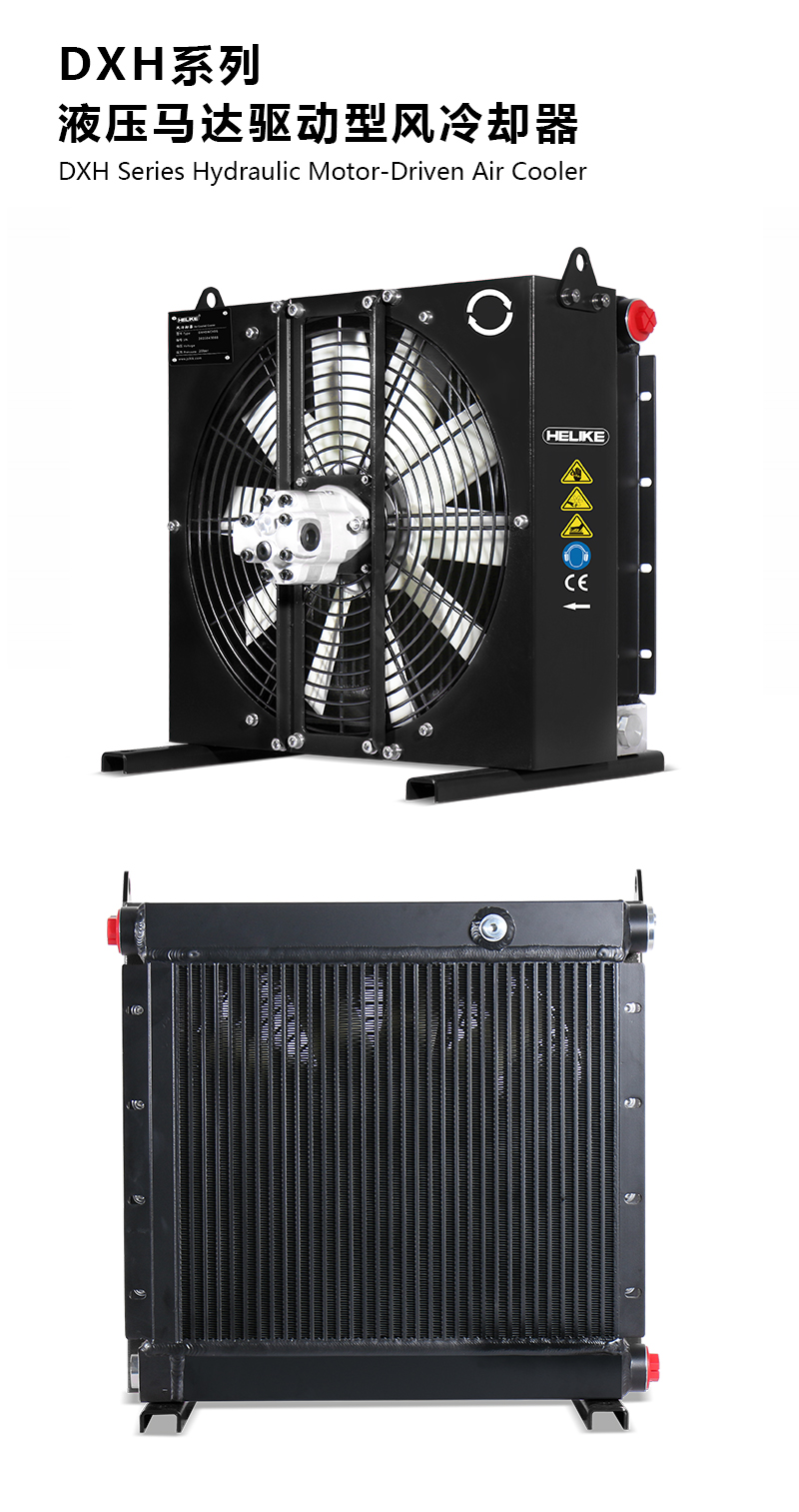 1770105330240647.jpg DXH.jpg