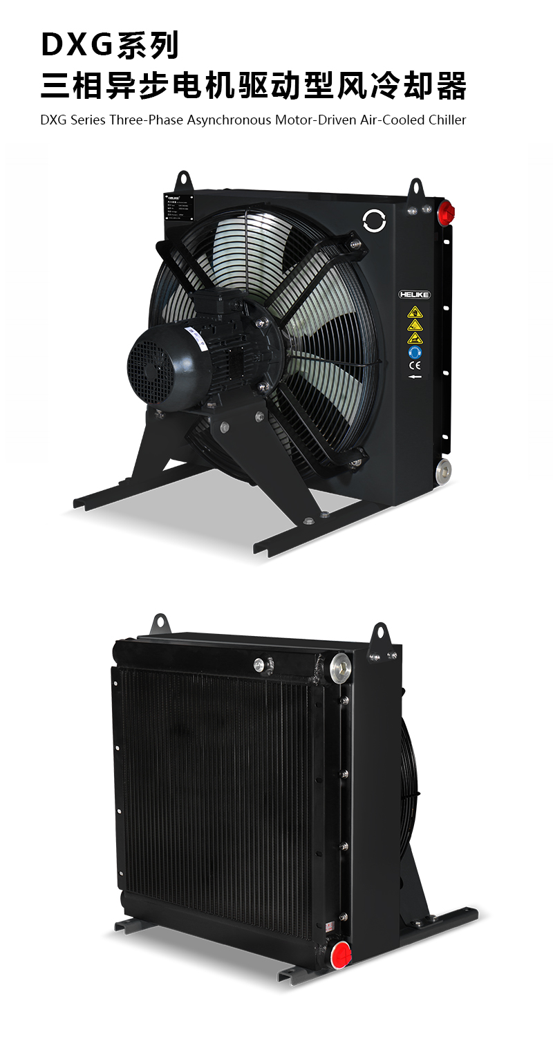 1770105515630780.jpg DXG.jpg